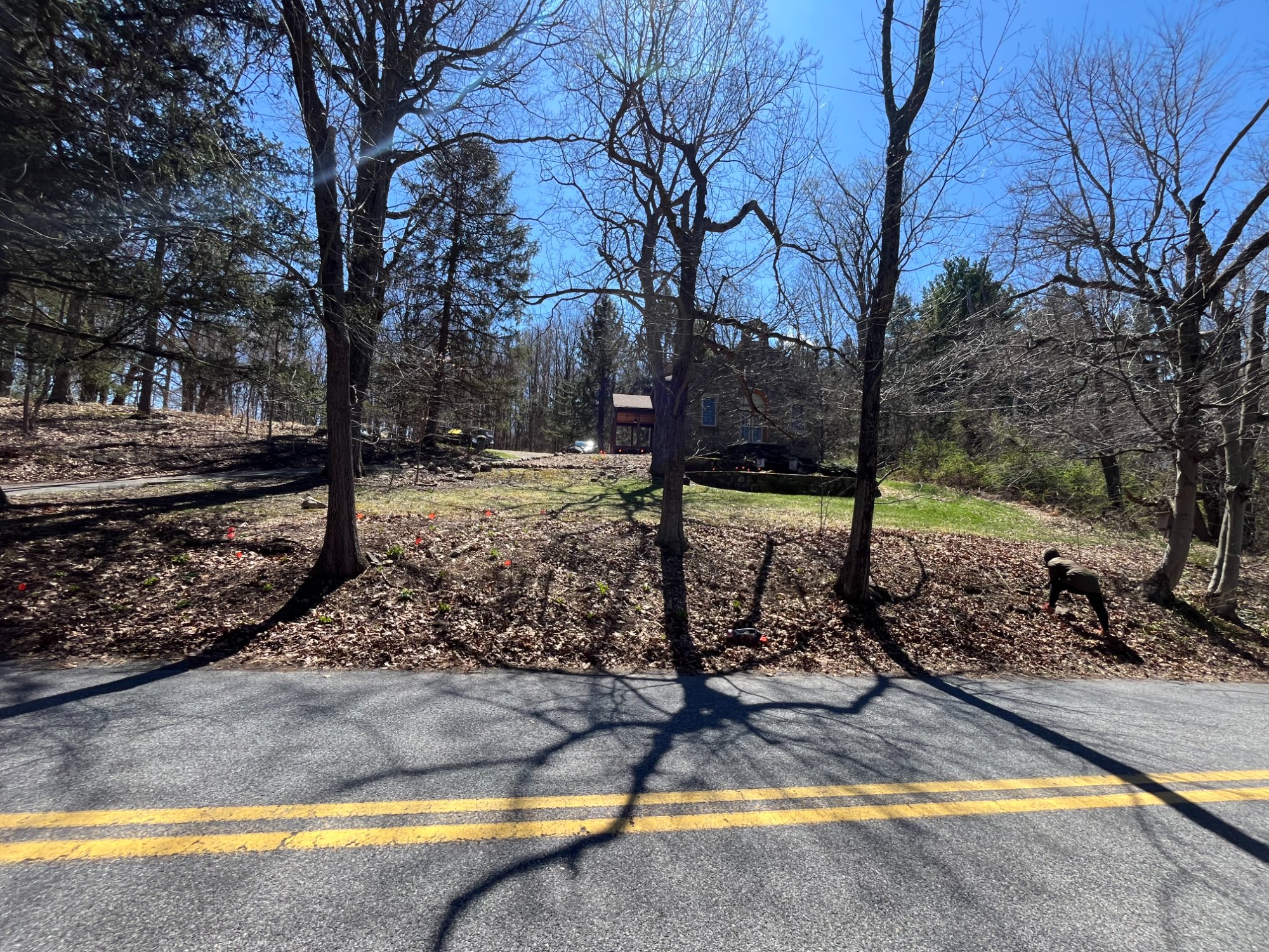 The Roadside