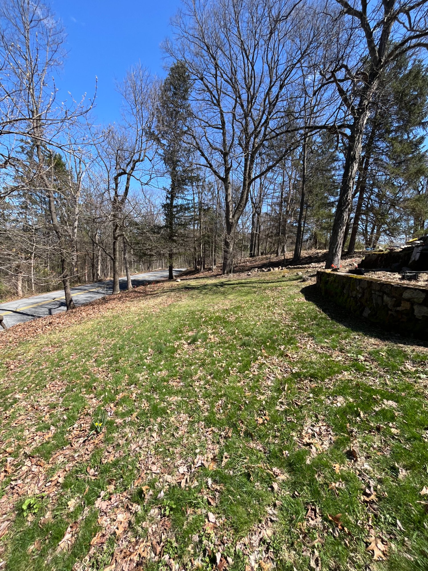 The Septic Lawn