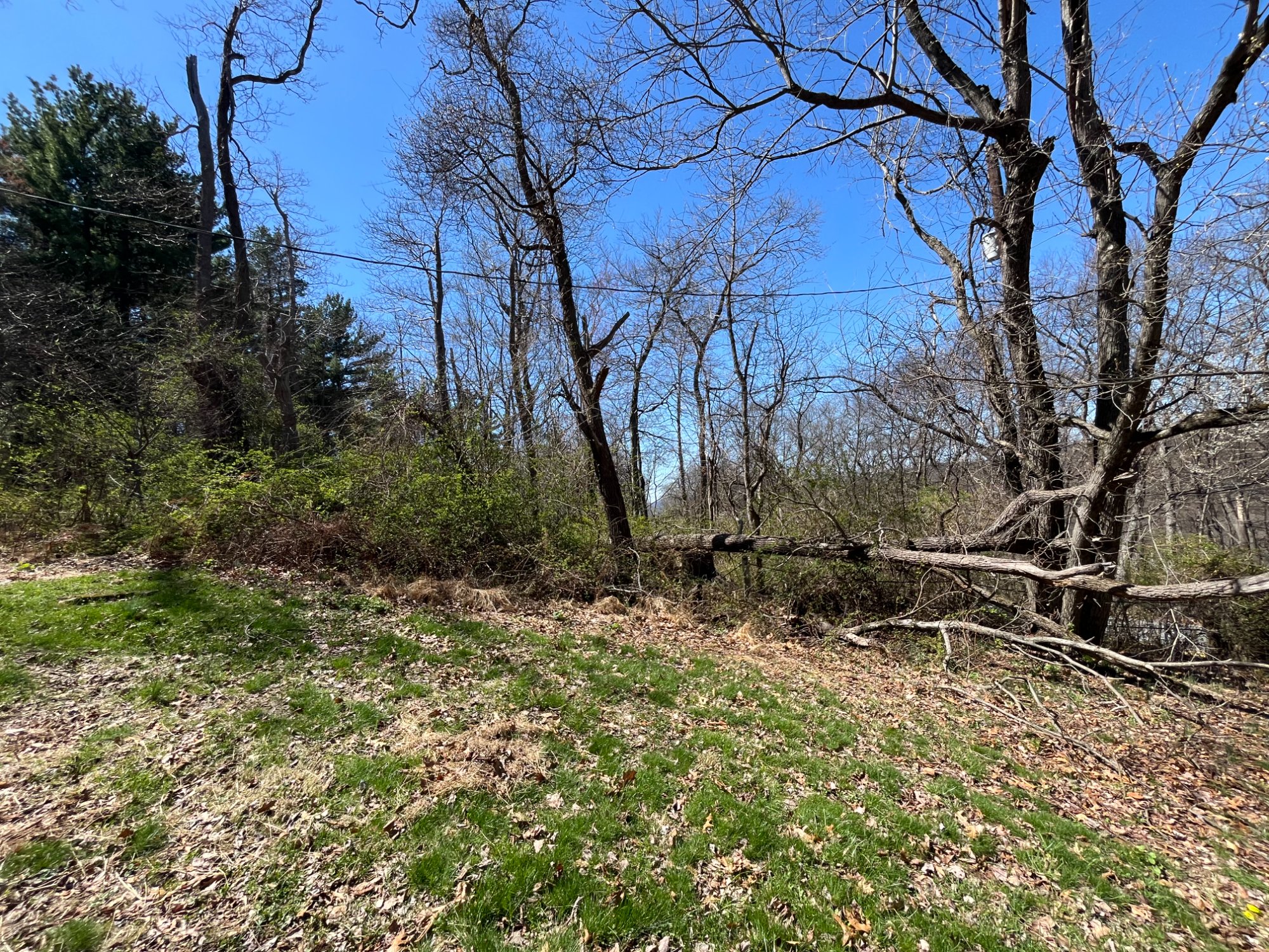 West Edge - North