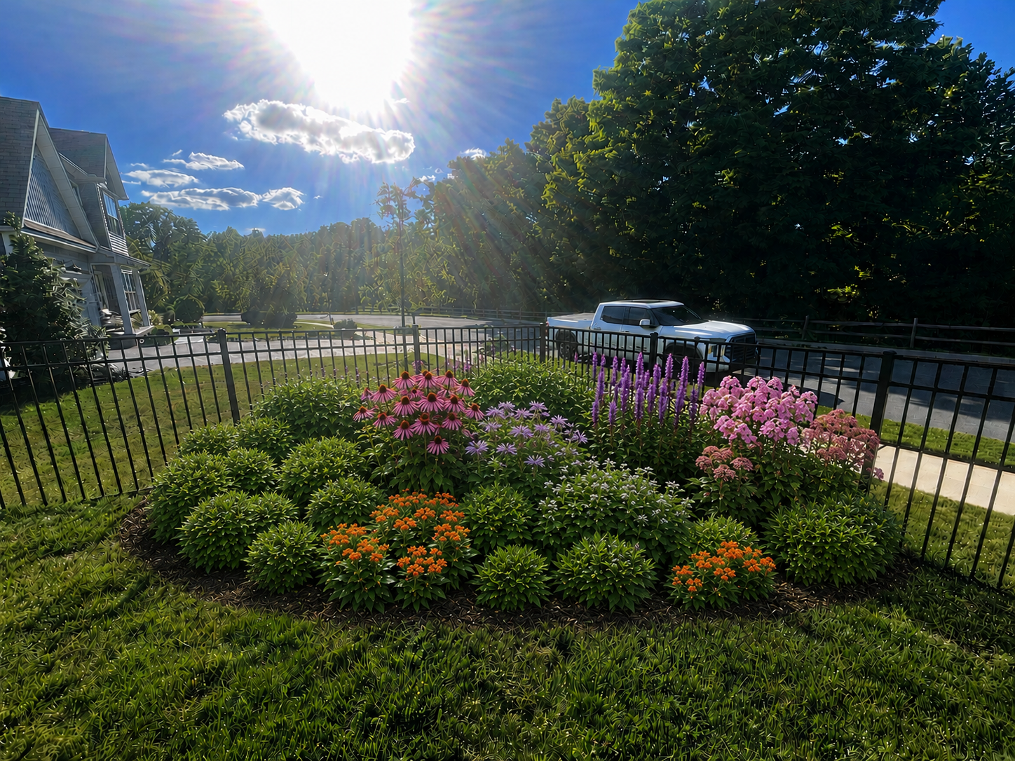 The same corner visualized at peak summer bloom with butterfly milkweed, bee balm, and blazing star